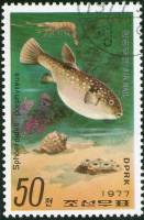 (1977-088) Марка Северная Корея "Фугу"   Морские улитки и рыбы III Θ